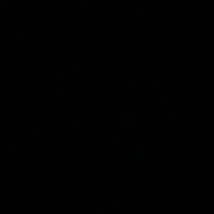 Meet your Posher, Tray